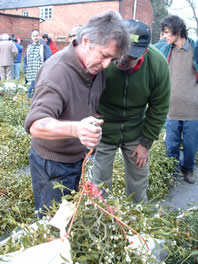 Weighing the Mistletoe
