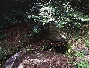 St Millburgha's Well