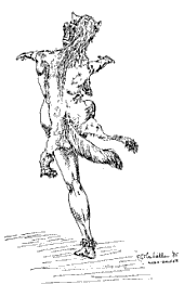 Wlof dance